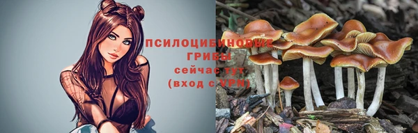 кокс Алексин