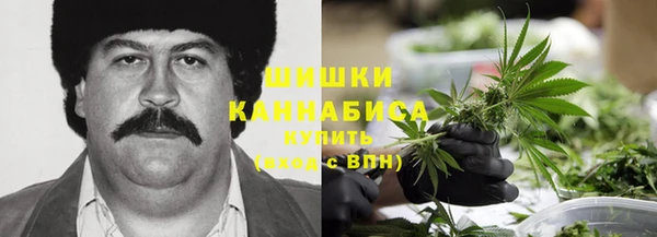 прущие грибы Алзамай