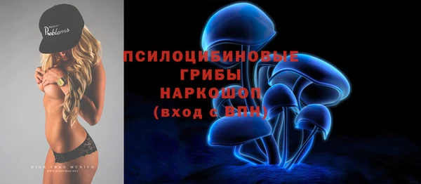 прущие грибы Алзамай