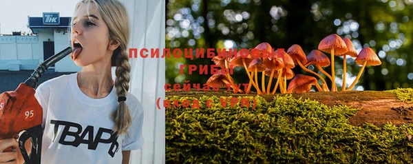 кокс Алексин